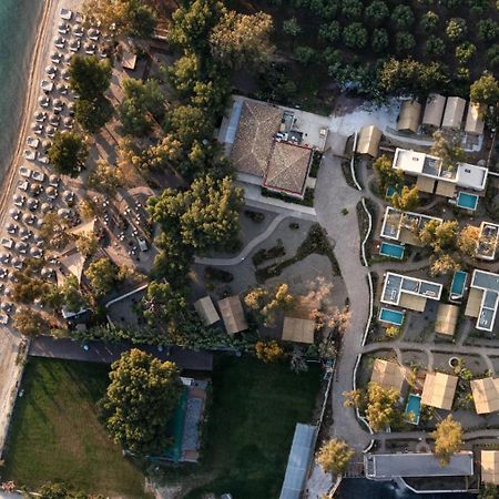 Ergon Beach House Nikiti Nikiti (Sithonia) Exterior foto
